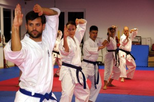 karate-436924_960_720.jpg
