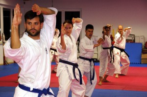 karate-436924_960_720.jpg